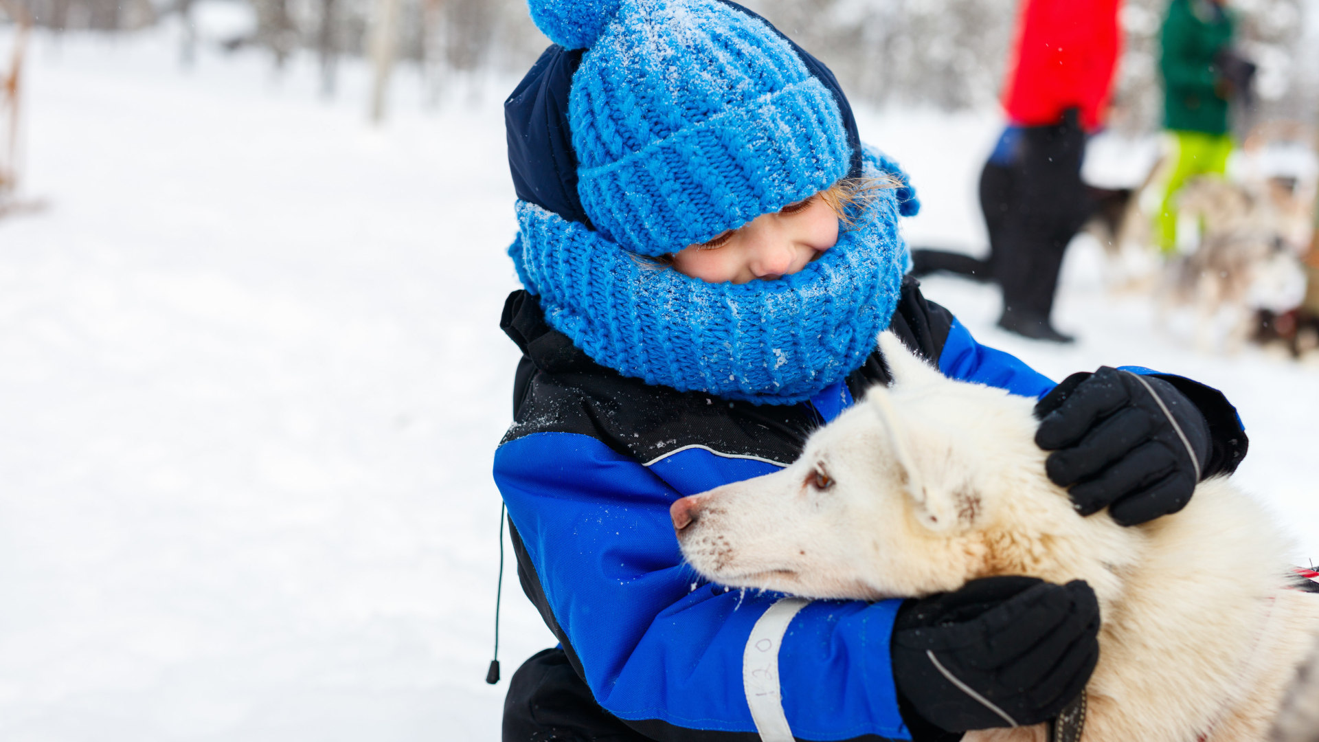 Kind mit Husky